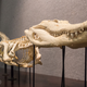 Image for article titled Ancient Bones and Millionaires: Dinosaurs For Sale in Manhattan